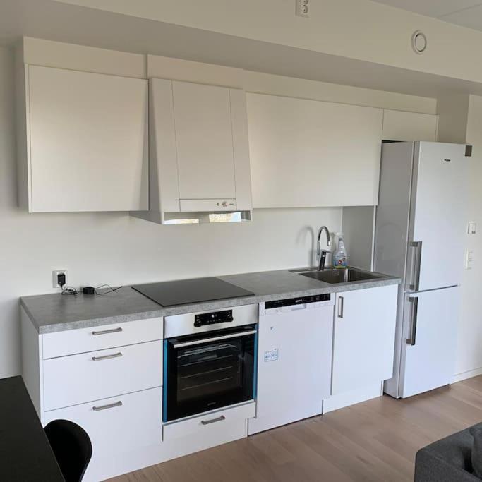 Scandpoint Apartment Fornebu Near Sea Front With Outdoor Walk! Stabekk Esterno foto